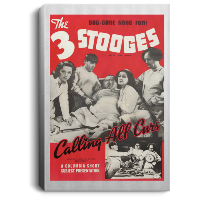 Three Stooges Calling All Curs Lobby Card Portrait Canvas .75In Frame