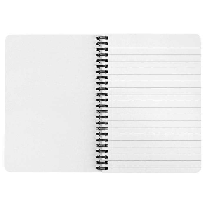 Three Stooges Spiral Notebook - Chalkboard